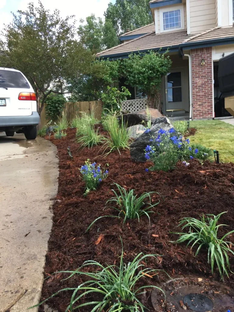 Stone and Leaf Xeriscaping