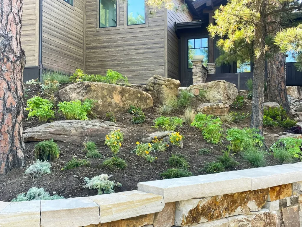 boulder xeriscape company