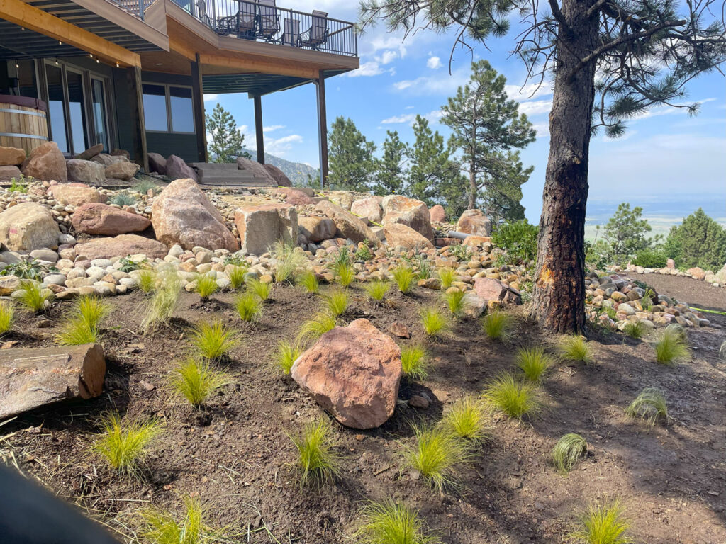 Xeriscape & Planting Boulder