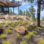 Xeriscape & Planting Boulder