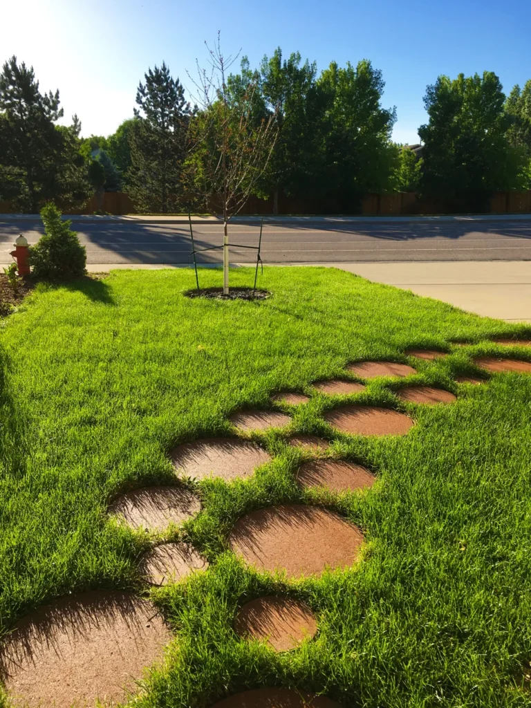 Boulder sod service