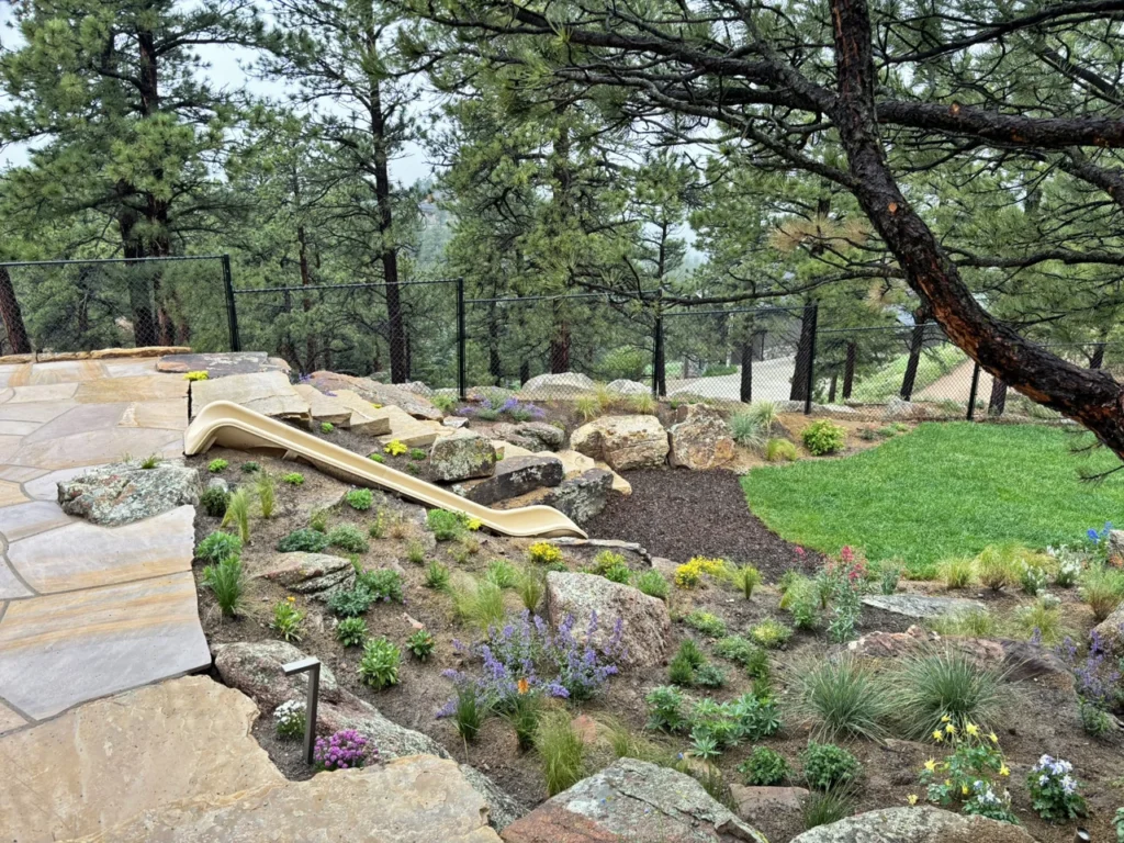 drought-tolerant sod Boulder