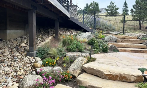 Boulder xeriscape design
