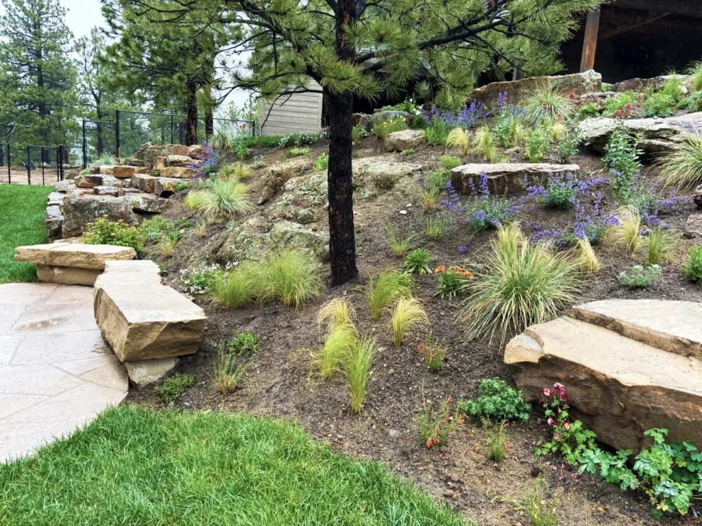 boulder drought tolerant landscaping