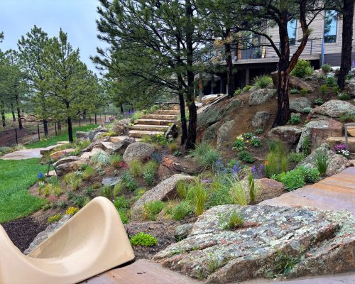 Home_Xeriscape & Planting_EDIT Home_Xeriscape & Planting_EDIT