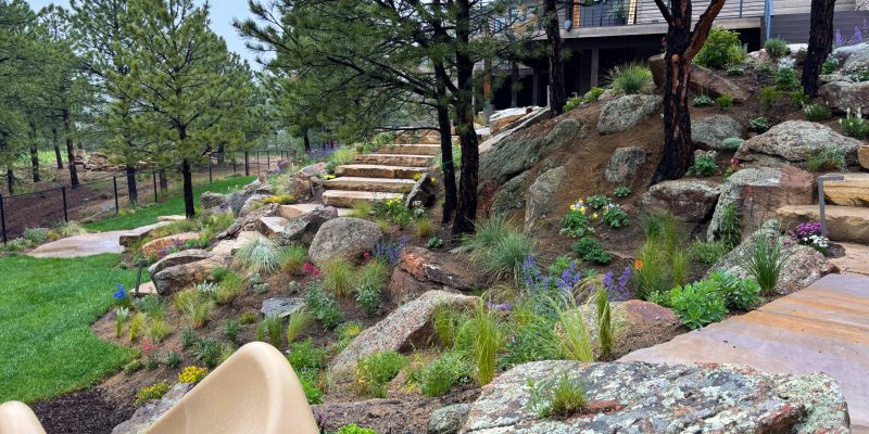 Home_Xeriscape & Planting_EDIT